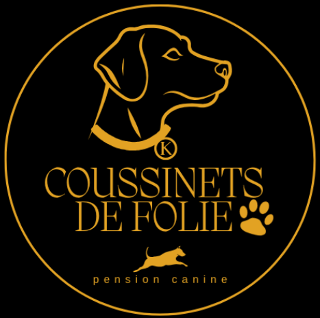 Coussinets De Folie